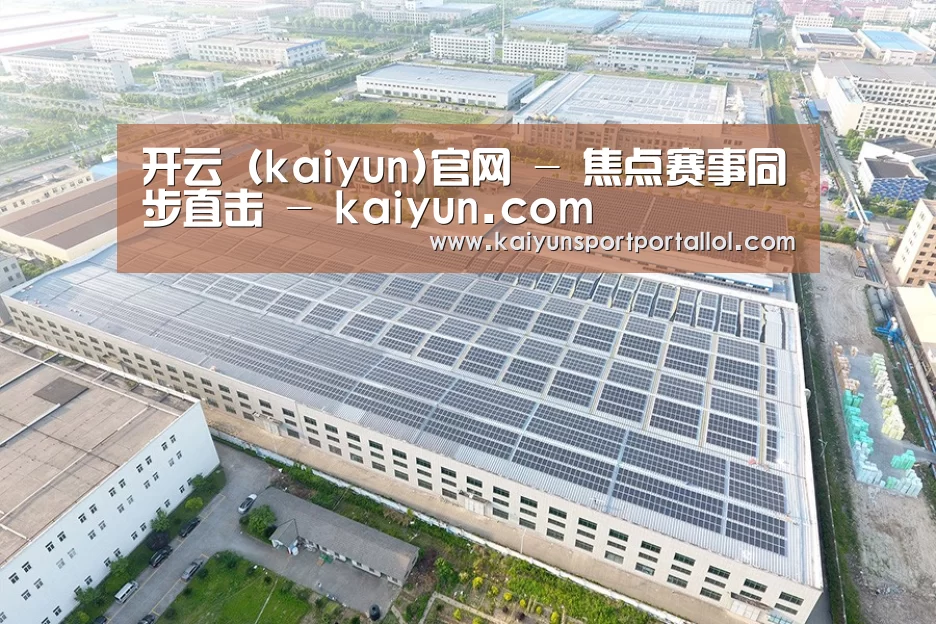 案例展示二