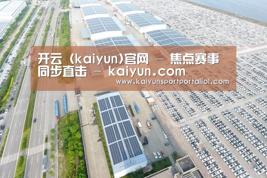 案例展示一