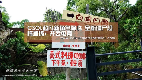 开云电竞官网