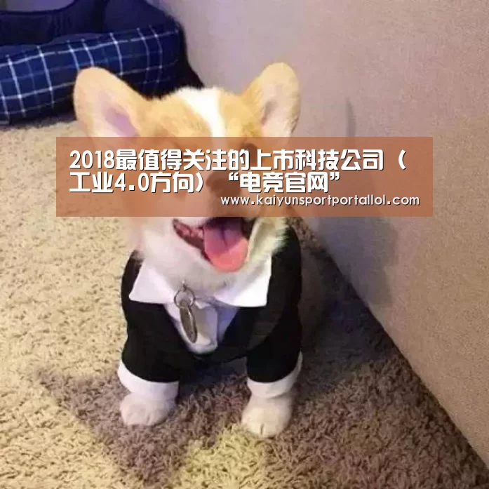 2018最值得关注的上市科技公司(工业4.0方向)“电竞官网”(图2) 电竞官网