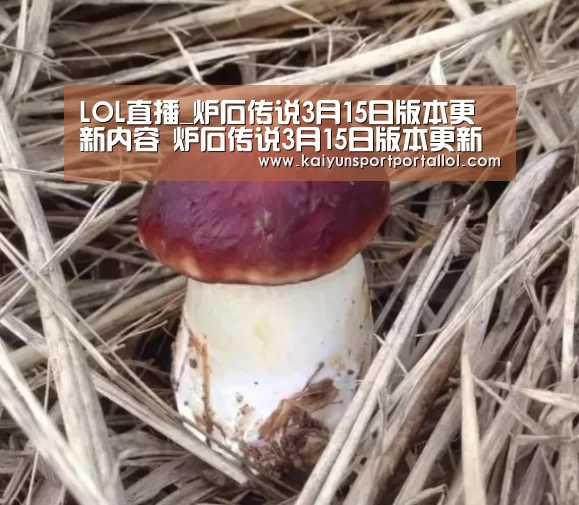 LOL直播_炉石传说3月15日版本更新内容 炉石传说3月15日版本更新说明解析(图1) 开云电竞官网