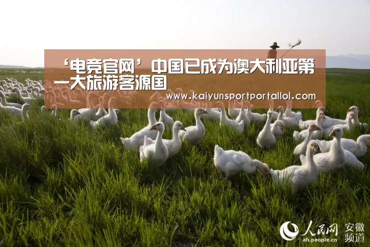 ‘电竞官网’中国已成为澳大利亚第一大旅游客源国(图2) LOL直播