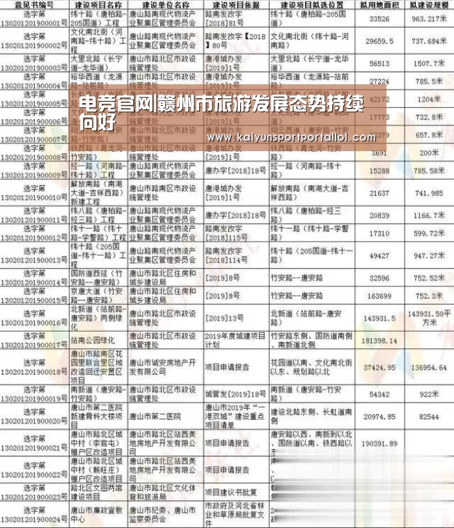 开云电竞