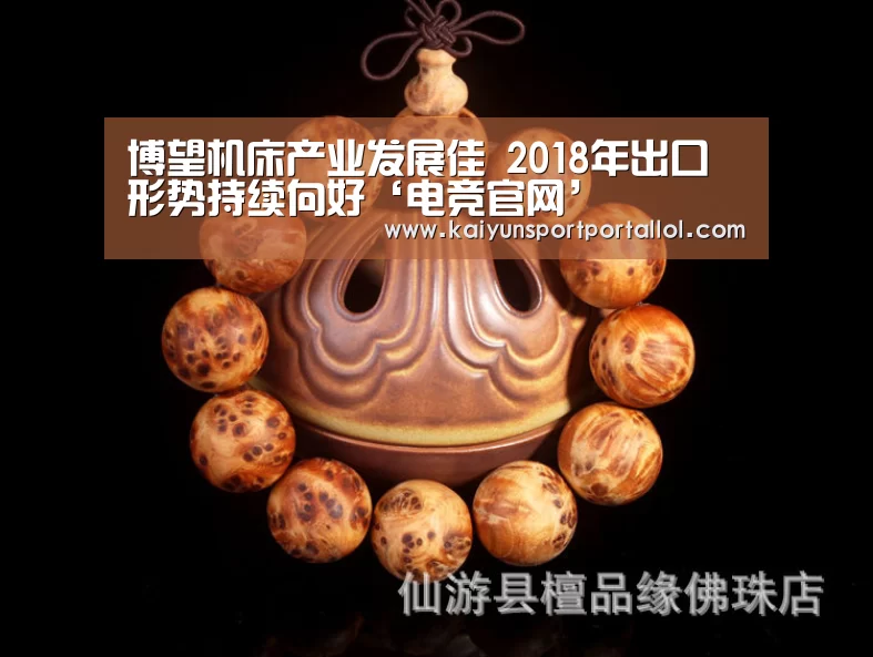 开云电竞官网